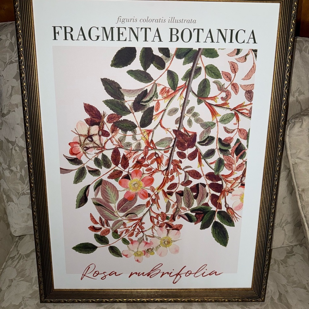 Fragmenta Botanica Wall Art
